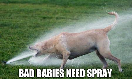 bad babies need spray!